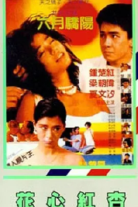 DVD无删减90分钟观看