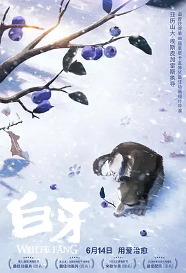 高清影视