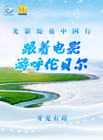 BD国语全集免费观看